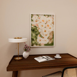 春の花のフォトポスター　/ i1195 / ピンクの桜、モクレン、バラなど　インテリアポスター 2枚目の画像