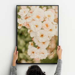 春の花のフォトポスター　/ i1195 / ピンクの桜、モクレン、バラなど　インテリアポスター 3枚目の画像