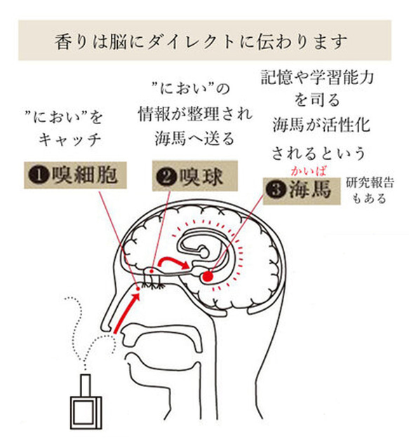 FOOD系香水　”ASフルーツパフェ　15ml　大人スイーツ　フルーツミックス　バニラ　ムスク 12枚目の画像