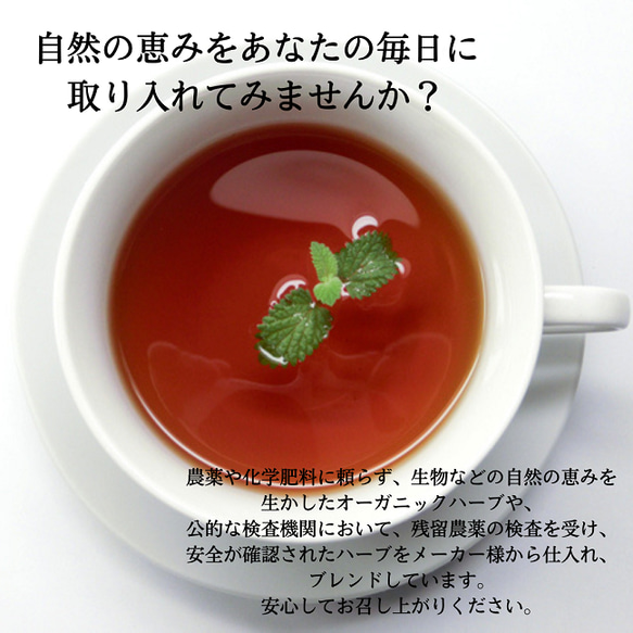 AOZORA本気の溜め込まない茶　すっきり Tea　4包入り 6枚目の画像