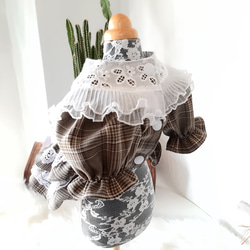 【新作】ペット服・RiNa DReSS チェックドレス　ワンピース　袖付きワンピース 3枚目の画像