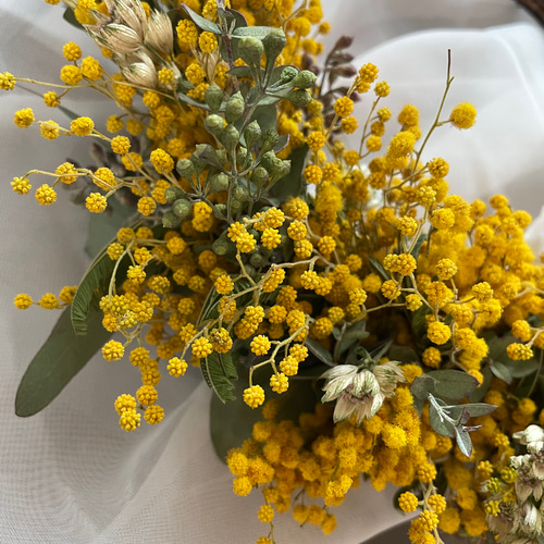 ミモザのハーフリース♡ ドライフラワー fairy ai flower 通販