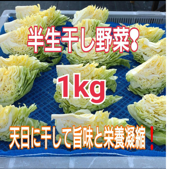 キャベツ 20玉 03