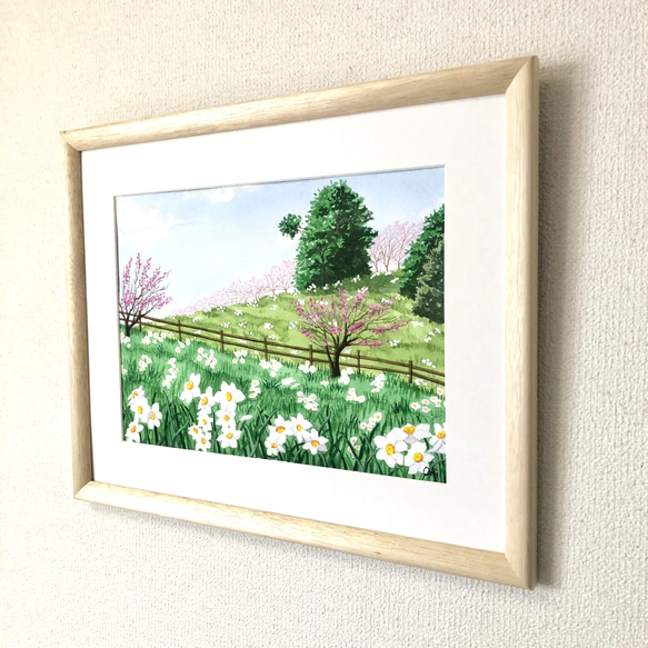 「白い水仙と梅の花 」透明水彩画　原画　風景画　額縁付　F4サイズ 4枚目の画像