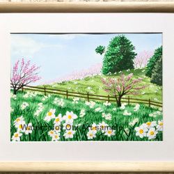 「白い水仙と梅の花 」透明水彩画　原画　風景画　額縁付　F4サイズ 1枚目の画像