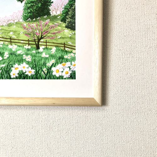 白い水仙と梅の花 」透明水彩画 原画 風景画 額縁付 F4サイズ 絵画 Oni