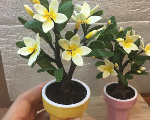 4ca97594d4ed7782d89022041737a1