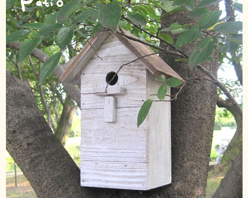 楽天市場】鳥の巣箱 バードハウス 野鳥 シジュウカラ 三角屋根