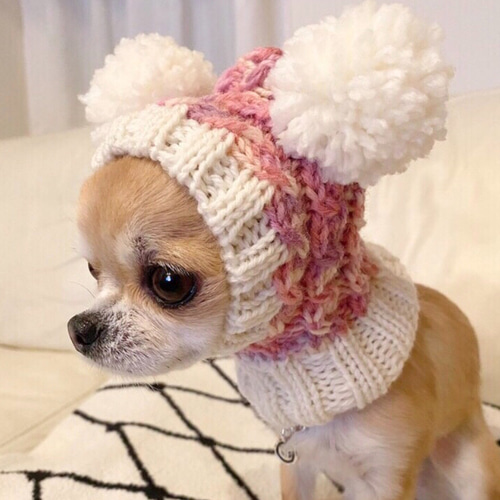 あやや様 ♡ 大好評 ツインテールのフェアリー帽子 □ 犬 ニット帽