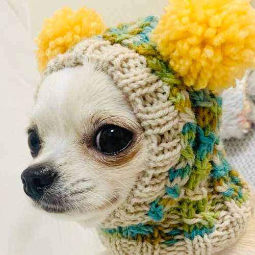 あやや様 ♡ 大好評 ツインテールのフェアリー帽子 □ 犬 ニット帽