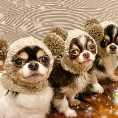 ぴーちゃんページです　ファーフードスヌード　ファージャガード帽子 ぴーちゃん様専用ページです ファーフードスヌード ファー