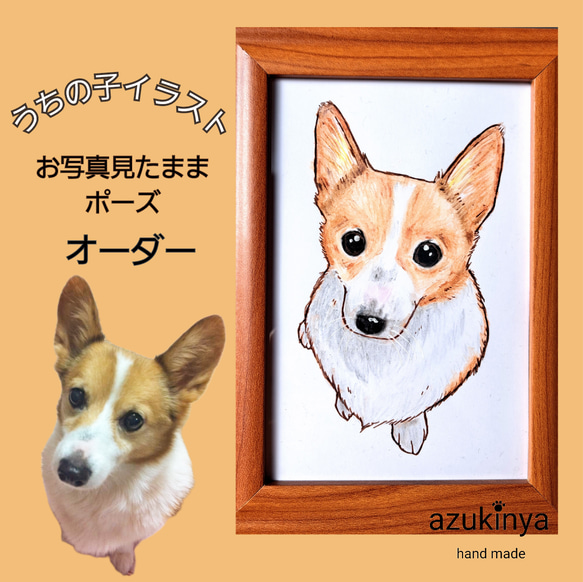 手描きイラスト 応援 コーギー フレー!フレー!!（コーギー（レッド  