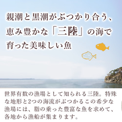 ＜手づくり＞ことこと煮魚 三陸の味 受賞セット（5パック入り）◆レンジ対応◆送料無料※一部地域 3枚目の画像