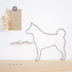 ♡ 柴犬のwelcome ♡ 1枚目の画像