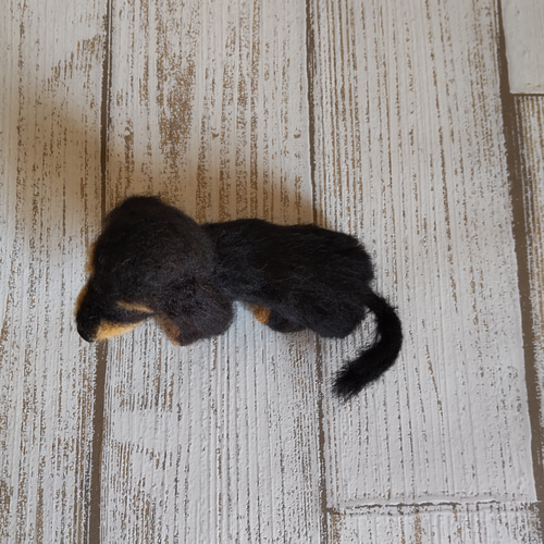 ♥️羊毛フェルト♥️ダックスのブラタンちゃんのアレンジメント♪ ♥️羊毛フェルト♥️ダックスのブラタンちゃんのアレンジメント