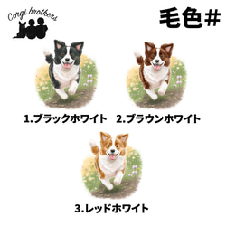 【 自然に囲まれた ボーダーコリー 】 スマホケース　クリアソフトケース　犬　犬グッズ　プレゼント　アンドロイド対応 5枚目の画像