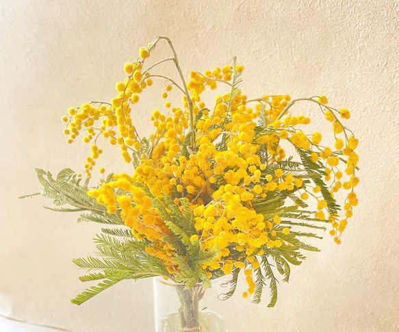 mimosa arrangement 2枚目の画像