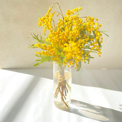 mimosa arrangement 1枚目の画像