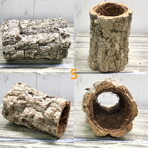 筒型 コルク 長さ約20cm エアプランツ 着生植物 爬虫類 その他