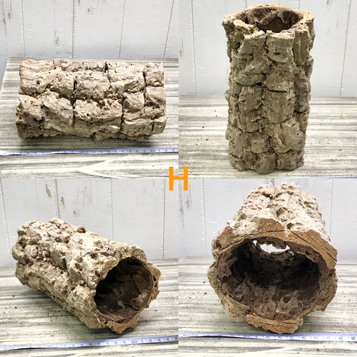 筒型 コルク 長さ約20cm エアプランツ 着生植物 爬虫類 その他