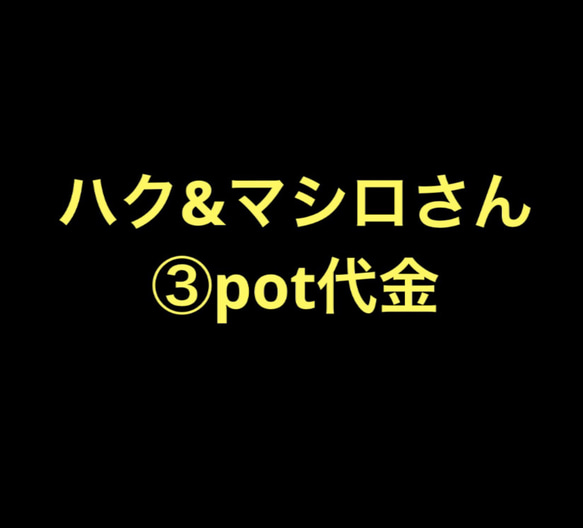 ハク&マシロさん ③pot代金 1枚目の画像