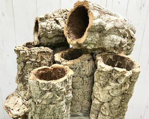 筒型 コルク 長さ約20cm エアプランツ 着生植物 爬虫類 その他