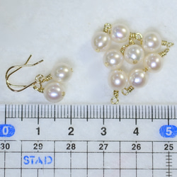 金鈦耳環・淡水珍珠（6mm） 第5張的照片