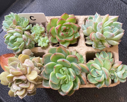 3e519308e6c9ed007be4eeb2e85764