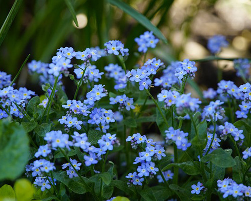 3e21f77c789bec5975b1473248913f