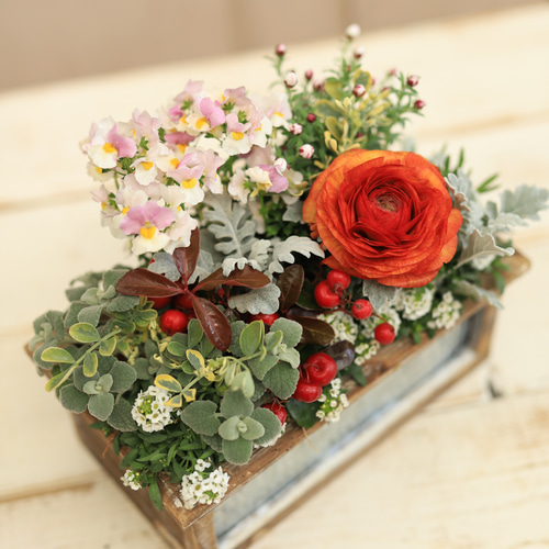 アンティーク木箱に♪ラナンキュラスと春のお花のギャザリング寄せ植え 