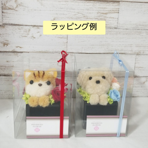 プリザーブドフラワー ワンチャン 『トイプードル』 木箱入り プリザーブドフラワー ワンチャン 『トイプードル』 木箱入り