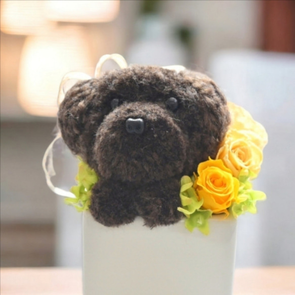 もこペット【犬・コーヒー】プリザーブドフラワー ペット 犬 花 フラワーギフト いぬ フラワー 母の日 お供え  誕生日 5枚目の画像