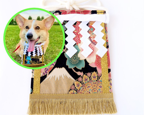 * vintage dog ❀ さくら色の キュートな ワンちゃん 38c23f60487f7a5e9b1f615c12dfe9