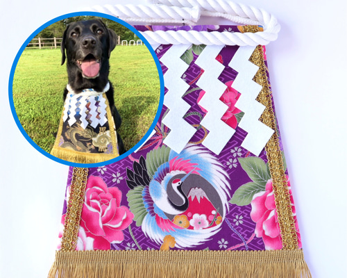 ed468210cf1e2480605140eb0e461d