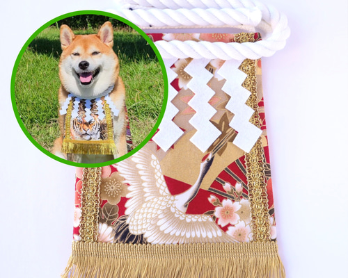パティシエワンワン 犬 アーティストベア 海外作家様 ハンドメイド 部屋飾り 気になるワン！ アーティストベア ぬいぐるみ ハンドメイド 海外