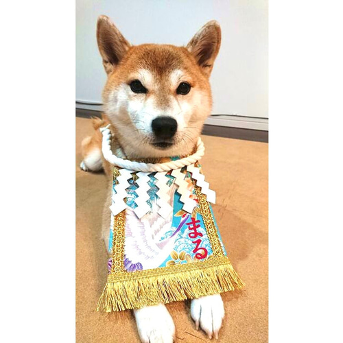 美しい古美術◼️蔵から可愛い犬のかなり雰囲気のある水差しが出て来ました、茶道具 Woobia ウービア 【柴犬 ぶら下がり オーナメント】 (幅11.5cm
