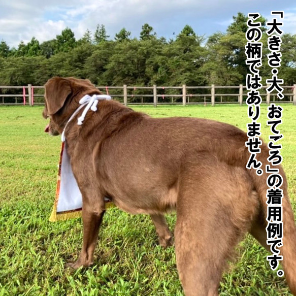 【おてごろ・大】ワンちゃん化粧まわし《銀の青海波と鶴》【名入れOK】 15枚目の画像