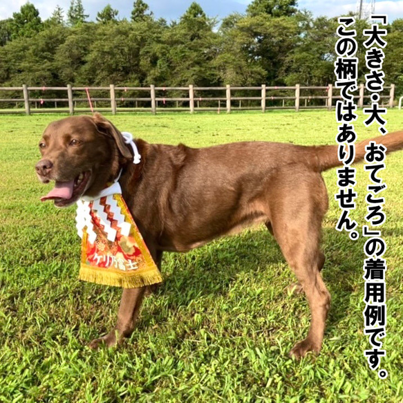 【おてごろ・大】ワンちゃん化粧まわし《銀の青海波と鶴》【名入れOK】 11枚目の画像