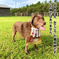 【おてごろ・大】ワンちゃん化粧まわし《夢を載せた宝船》【名入れOK】 12枚目の画像