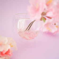 SAKURA桜✴︎春爛漫〜ひな祭り…固まるハーバリウム 2枚目の画像