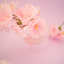 SAKURA桜✴︎春爛漫〜ひな祭り…固まるハーバリウム 3枚目の画像