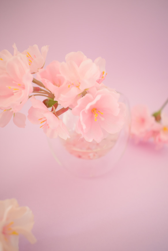 SAKURA桜✴︎春爛漫〜ひな祭り…固まるハーバリウム 3枚目の画像