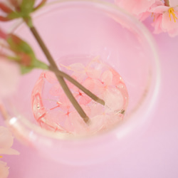 SAKURA桜✴︎春爛漫〜ひな祭り…固まるハーバリウム 5枚目の画像