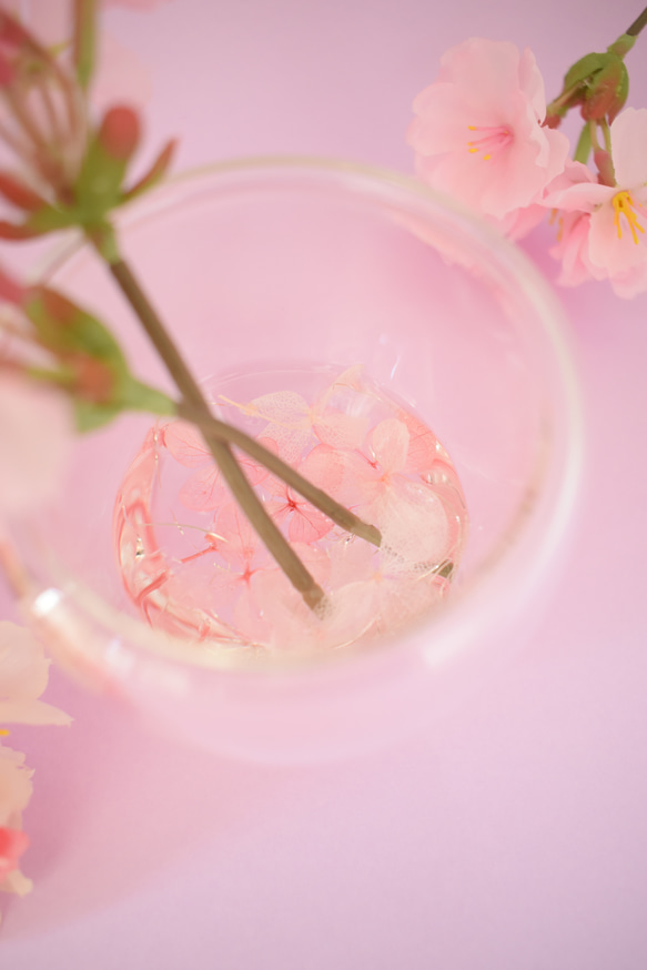 SAKURA桜✴︎春爛漫〜ひな祭り…固まるハーバリウム 5枚目の画像