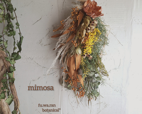 専用＊サルフレア&ミモザ　ドライフラワースワッグ サルフレア&ミモザ ドライフラワースワッグ スワッグ fu.wa.ran