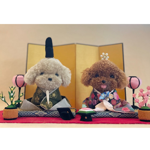 プードルの着せ替えお雛様 （黒・深緑） ビションフリーゼ プードル