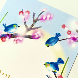 光の中の青い鳥３枚ポストカード 2枚目の画像