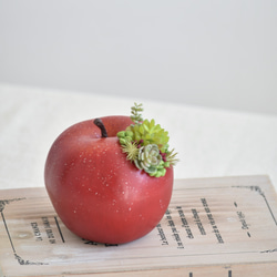 【やや難有　限定】タニクアップル！？ 赤いリンゴと多肉植物　フェイクグリーン　アーティフィシャルフラワー 2枚目の画像