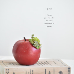 【やや難有　限定】タニクアップル！？ 赤いリンゴと多肉植物　フェイクグリーン　アーティフィシャルフラワー 1枚目の画像