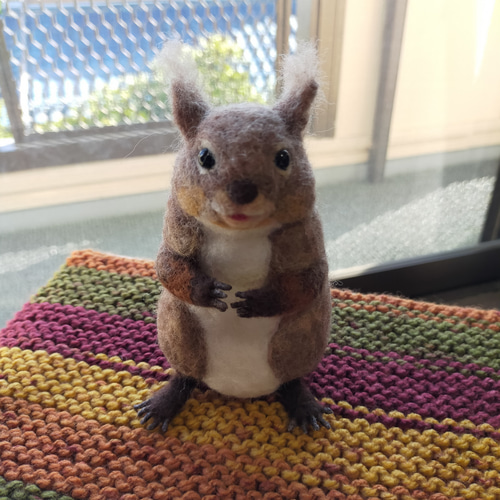 羊毛フェルト 日本リス 羊毛フェルト musa 通販 15398816｜Creema